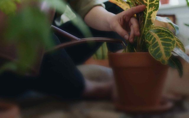 Projects That Fail and How to Solve Them